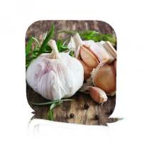 Garlic Supplement Benefits on 9Apps