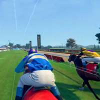 Real Horse Racing Game 3D
