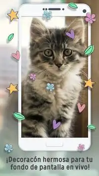 Descarga de la aplicación Fondos de pantalla gatos animados 2023 - Gratis - 9Apps Descarga de la aplicación Fondos de pantalla gatos animados 2023 - Gratis - 9Apps