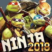 Hero Turtle Ninja Super Mutant Dash