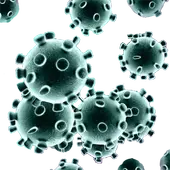 Virus Diagnostic icon