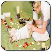 Massage a Dog on 9Apps