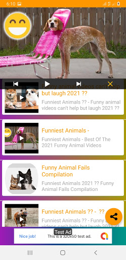 Animal funny videos online 2021