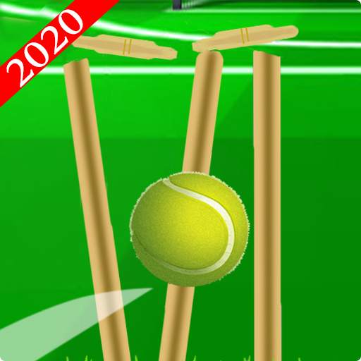 Cricket Ball : New Cricket Game