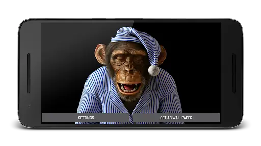 Funny Monkey 3D Live Wallpaper APK Download 2023 - Free - 9Apps