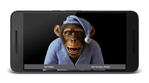 Funny Monkey 3D Live Wallpaper APK Download 2023 - Free - 9Apps Funny Monkey 3D Live Wallpaper APK Download 2023 - Free - 9Apps
