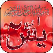 Surah i Yasin Talawat & Tarjuma in English & Urdu on 9Apps