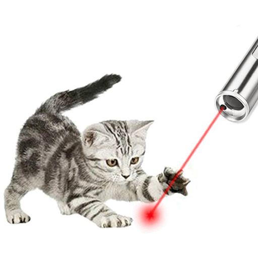 Кот с указкой. Лазерная указка для кота. Кот и лазер. Котик с лазером. Кот играется с лазером.