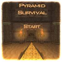 Pyramid Survival