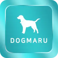 Téléchargement de l'application 강아지무료분양 고양이무료분양 2023 - Gratuit - 9Apps Téléchargement De L'Application 강아지무료분양 고양이무료분양 2023 - Gratuit - 9Apps