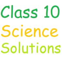 Class 10 Science Solutions