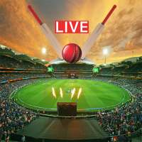 Live Cricket Match Scores on 9Apps