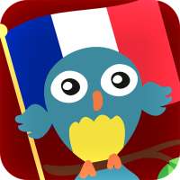 Learn French Offline Free
