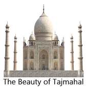 The Beauty of Tajmahal