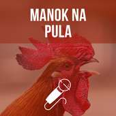 Manok na Pula - Song and Lyrics on 9Apps