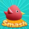 Cool Birds Game - Fun Smash