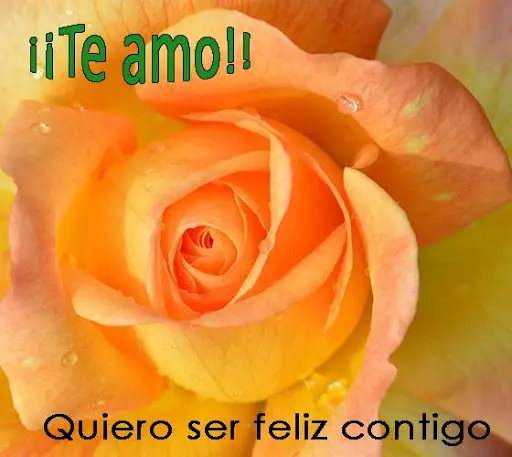 Descarga de la aplicación Te Amo Amor, bonitas frases con rosas y corazones  2023 - Gratis - 9Apps