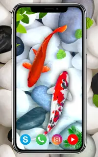 KOI Fish Live Wallpaper APK Download 2023 - Free - 9Apps KOI Fish Live Wallpaper APK Download 2023 - Free - 9Apps