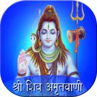 Shiva Amritwani on 9Apps