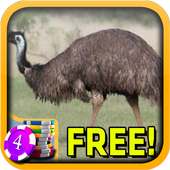 Emu Slots - Free