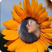 Sunflower Photo Frames on 9Apps