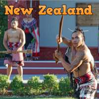 New Zealand Trip Booking Advisor