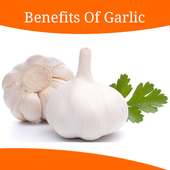 Health Benefits Of Garlic on 9Apps