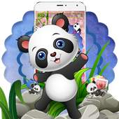 🐼🐼🐼Cute Baby Panda Theme