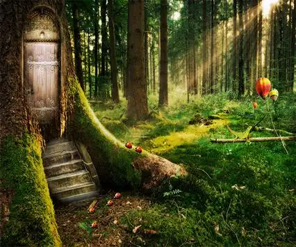 Enchanting Fairy Cottage in the Middle of the Forest - Music