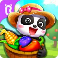 Little Panda's Dream Garden