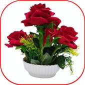 Nice Flowers Images on 9Apps