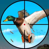 Real Bird Hunting Adventure: Bird Shooting Games