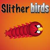 Slither Birds IO