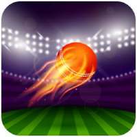 Cricket Mania - Live Cricket Scores, Cricket News