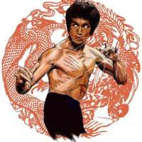 Martial Arts - Advanced Techni on 9Apps