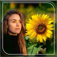 Sunflower Photo Frame on 9Apps