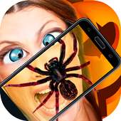 Aranha real Camera Prank 3D