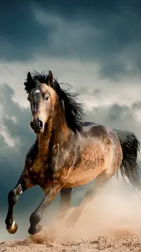 Descarga de la aplicación Fondos de Caballos 2023 - Gratis - 9Apps Descarga de la aplicación Fondos de Caballos 2023 - Gratis - 9Apps