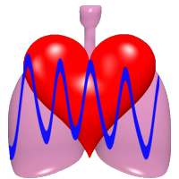 CardioRespiratory Monitor Free on 9Apps