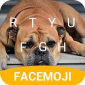 Bulldog Yellow Emoji Keyboard Theme for Snapchat on 9Apps