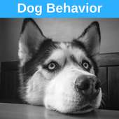 Dog Behavior on 9Apps