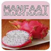 Manfaat dan Khasiat Buah Naga