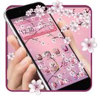 Pink Sakura Flower Theme