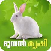 Rabbit Farming Malayalam on 9Apps