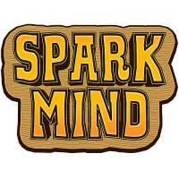 Spark Mind