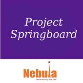 Mondelez Project Springboard