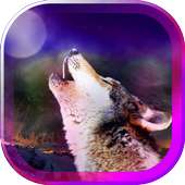 Wolf Mystic Voices HD LW on 9Apps
