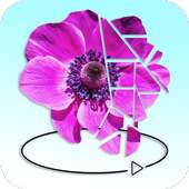 الزهور 3D بولي المجال