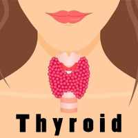 Thyroid