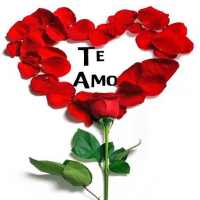 Rosas de Amor con Frases Romanticas on 9Apps